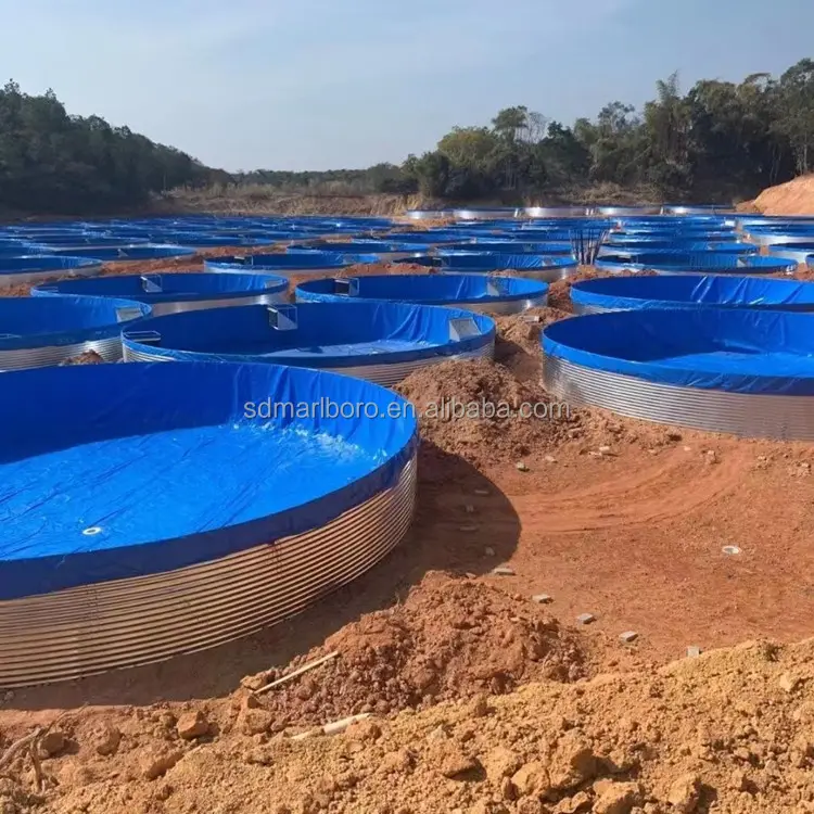 SDM High Density Recirculating Aquaculture System Fish Tanks Large Fish Farming Ponds PVC Fish Farm Tanks
