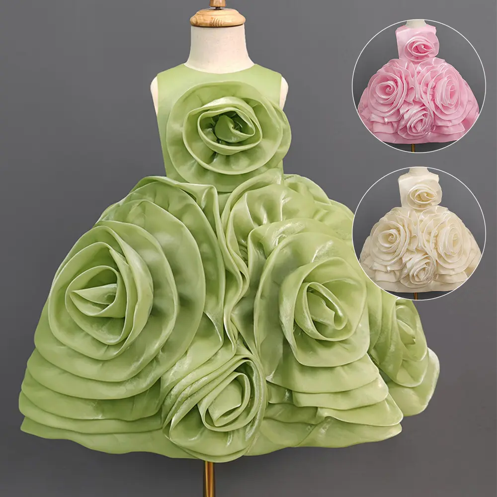 Vestido de fiesta de Organza para niña, ropa sin mangas 3D con flores, Formal, para actuaciones