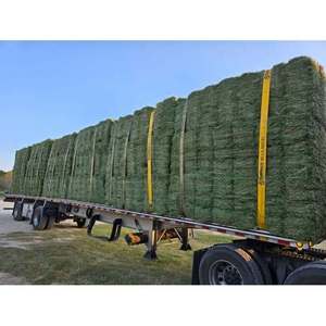 Alfalfa Premium Heno Alimentación Animal Alto Proteína 18% Pacas Secadas al Sol Exportación Mayorista Ganado Cerdo Perro Pollo 4 - Product Image 1