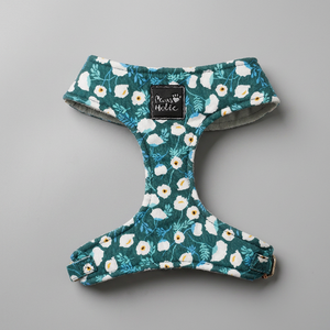 Harnais pour chien et chat en coton confortable de qualité supérieure, style tendance, respirant, élégant, accessoire personnalisé pour animaux de compagnie, vente en gros OEM - Product Image 1