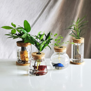 Terrario de Escritorio para Plantas, Estación de Propagación, Maceta de Vidrio para Mesa, Florero para Plantas Acuáticas con Tapa para Cultivar Plantas Hidropónicas - Product Image 2