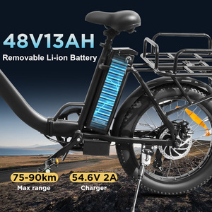 Vélo cargo électrique tout-terrain avec porte-bagages arrière, longue autonomie, pour livraison et usage familial - Product Image 4