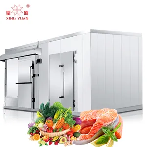 Top Selling Products 40 ft freezer cold room for seafood quick freezing cold storage room