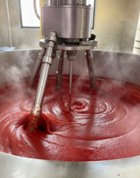 Ligne de production automatique de sauce tomate/ketchup et de produits à base de fruits et légumes, équipement de stérilisation et de pasteurisation alimentaire pour usage professionnel