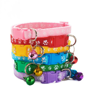 <span class=keywords><strong>Collar</strong></span> elástico para gato, - Product Image 5