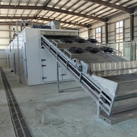 Fabrieksmatige continue mesh-belt fruit- en groentedroger op gas/biomassa, transportbanddroogmachine voor de verwerking van uien en chilipepers.