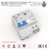 Interruptor Diferencial RCBO 2P 63A, Cobre, Capacidad de Interrupción 10kA, Tipo Electromagnético AC, Uso Industrial y Doméstico