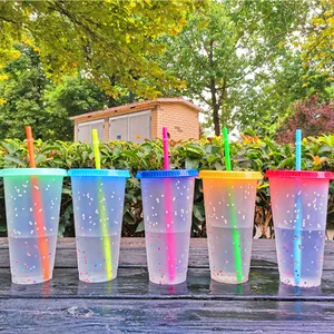 Hot selling cold water cup 16oz 24oz clear color changing Cups confetti magic acrylic tumbler with Straw and lid