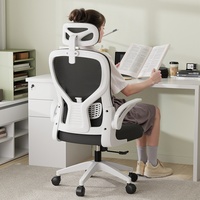 Chaise de bureau professionnelle en maille pour correction de posture, homologuée EN1335, avec vérin à gaz et accoudoirs réglables 4D, suite exécutive