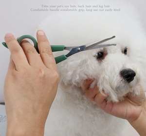 Tijeras Profesionales de Seguridad con Punta Redondeada para el Cuidado de Mascotas, <span class=keywords><strong>Perros</strong></span> y Gatos, Recortador de Pelo Facial de Acero Inoxidable para Patas y Orejas, Equipo para el Hogar - Product Image 5