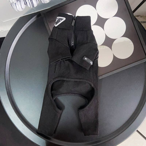 पालतू कपड़ों के सामान लक्जरी पालतू जानवरों की आपूर्ति बुटीक चार फीट ठोस पैटर्न शीतकालीन पिप ब्रांड डिजाइनर कुत्ते के कपड़े - Product Image 6