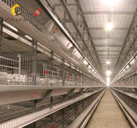 Cage à poules pondeuses de type H, nouvelle conception en acier galvanisé à chaud, spécialement conçue pour les fermes avicoles