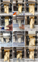 Machine à boulettes automatique Machine commerciale pour la fabrication de raviolis samosa pelmeni rouleaux de printemps grandes empanadas