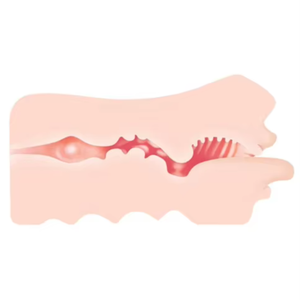 Mitreißendes Oral vergnügen kombiniert mit intimem Zweikanal-Sexspielzeug-<span class=keywords><strong>Masturbation</strong></span> becher Erweitertes 2-in-1-Schlafzimmerspielzeug für Männer - Product Image 1