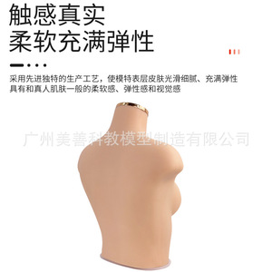 Accessoires pour vitrines de lingerie et soutiens-gorge et pour la photographie : Mannequin féminin en silicone souple et réaliste, demi-corps, poitrine 75B/C - Product Image 4