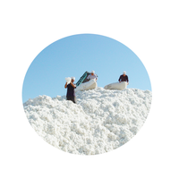 Pâte à papier de qualité supérieure, éther de cellulose de linters de coton, nitrocellulose, pâte vierge, rayonne cuprammonium, pâte écologique biologique