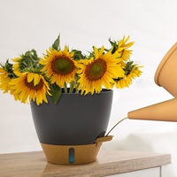 Pot de fleur vert lierre en plastique auto-absorbant vente directe du fabricant Niveau d'eau visible pour balcon cour latérale eau
