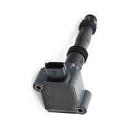Automotive Engine Parts Ignition Coils for Porsche 99760210402