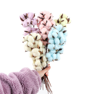 Naturellement séché <span class=keywords><strong>coton</strong></span> <span class=keywords><strong>fleurs</strong></span> blanc maison décorative artificielle branche florale mariage demoiselle d'honneur <span class=keywords><strong>Bouquet</strong></span> décor faux blanc fleur - Product Image 6