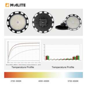 Projecteur UFO à faisceau de 90 degrés, 200LmW, IP65, IK08, pour éclairage de grande hauteur en usine, atelier, entrepôt, centre logistique - Product Image 5