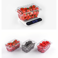 Boîte de présentation de fruits recyclée en gros, boîte transparente pour fraises, emballage alimentaire jetable en plastique pour fruits