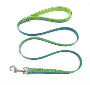 Juego de correa de accesorios de lujo para perros Correa de perro de plomo para exteriores con logotipo personalizado con impresión de sandía - Product Image 4