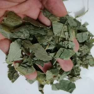 Yin yang huo, дикий натуральный короченный эпимадиум brevicornum, сушеные надземные части, распродажа - Product Image 5