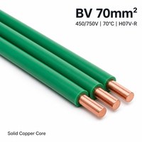 Fil de cuivre monoconducteur 70 mm isolé PVC, câble de construction BV rigide 450-750 V pour câblage domestique, vente en gros