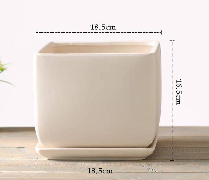 square large size 18.5cm (with tray