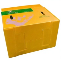 Conteneur en plastique ondulé PP pliable robuste avec cloison en carton alvéolaire et velcro pour le stockage et le transport