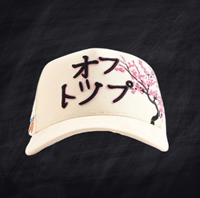 Expédition rapide G5 Gorras New Barbas Hat Casquette pour homme avec broderie et imprimé en daim, casquette de baseball en métal série X CT
