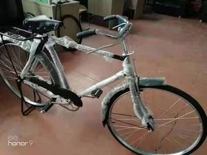 Vélo Cargo Urbain Tout-Terrain 28 pouces Monovitesse Capacité 250 kg pour l'Afrique - Product Image 4