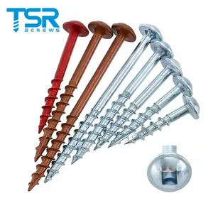 Vis autotaraudeuses Ruspert à tête cylindrique carrée, revêtement zinc, pour trous de poche dans le bois (Jig <span class=keywords><strong>Kreg</strong></span>) - Product Image 2