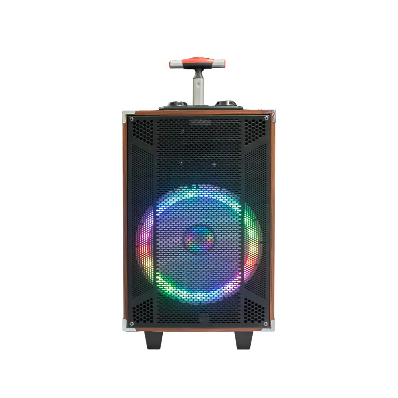 T en stock nuevo modelo de 10 pulgadas Bluetooth portátil Trolley altavoz con luz LED para REPRODUCTOR DE Karaoke