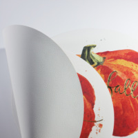 Set de Napperons Individuels Réversibles en PP+EVA de Qualité Alimentaire avec Impression Personnalisée pour Décoration de Fêtes