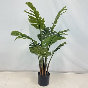 Kỳ Lạ Công Cụ Sống deliciosa Hạt Giống Monstera Mọng Nước Cây Turtleback Lớn Nhân Tạo Bất Cảm Ứng Thực Nhà Máy Cho Nhà Vườn Cảnh Quan - Product Image 3