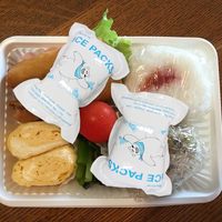 Pack de glace sèche en gel pour glacière alimentaire jetable en plastique personnalisable avec logo, feuille de congélation avec logo pour boîte à lunch