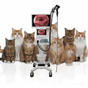 Endoscopio Veterinario Portatile SY-P033P-1 per <span class=keywords><strong>Cani</strong></span>, Gatti e Conigli - Product Image 1