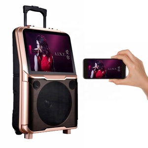 Altavoz Profesional de 10 Pulgadas con Amplificador SA-8908, Sistema de Sonido Multifuncional para Fiestas y Bailes, Conexión WIFI - Product Image 2