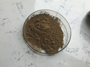 Nhà Máy LY Health Cung Cấp Chất Lượng Hàng Đầu Chiết Xuất Bạch Quả <span class=keywords><strong>Biloba</strong></span> - Product Image 4