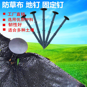 ตะปูพลาสติกสีดำเฉิงเย่ ขนาด 11 ซม. 16 ซม. 20 ซม. ชุดอุปกรณ์ทำสวนสำหรับผ้าควบคุมวัชพืช - Product Image 2