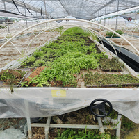 Système hydroponique de culture en lit de culture Tidal Nursery Bed, table de culture et plateaux de marée pour plantes, banc roulant à plateaux de marée 4*8