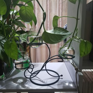 Support de Plantes en Métal Chromé Prix Usine, Socle pour Fleurs, Décoration Murale Maison & Jardin, Mariage, Vente Chaude Multiple - Product Image 4