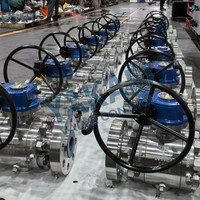 Konektor Sanitary Clamp Ball Valve SS304 SS316L untuk Sistem Pengolahan Air Kosmetik dan Air Murni