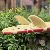 Ailerons latéraux en bambou à double languette/double languettes2/simple languette pour planche de surf FK Twin Surf Fins