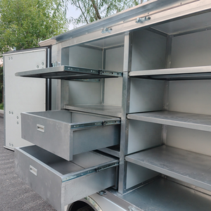 Shininglsv 중국 스테인레스 스틸 전기 골프 카트 가사 식품 공급 기타 목적을위한 버기 - Product Image 6