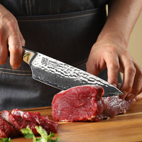 Couteau de chef martelé de 6,5 pouces, acier Damas 67 couches, cœur VG10, couteau de cuisine japonais ultra-affûté avec manche en résine