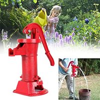 Pompe à eau manuelle à piston en fonte, style antique/vintage, pour puits peu profond, à basse pression, pour jardin agricole