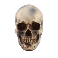 Modèle de squelette en résine personnalisé OEM, tête de crâne 3D en polyrésine, figurine décorative pour Halloween et bar à domicile, fabricant