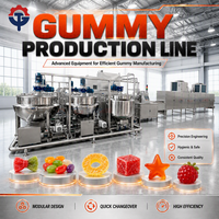 Ligne de production de bonbons gélifiés personnalisés TG Machine pour différentes formes, couleurs et saveurs